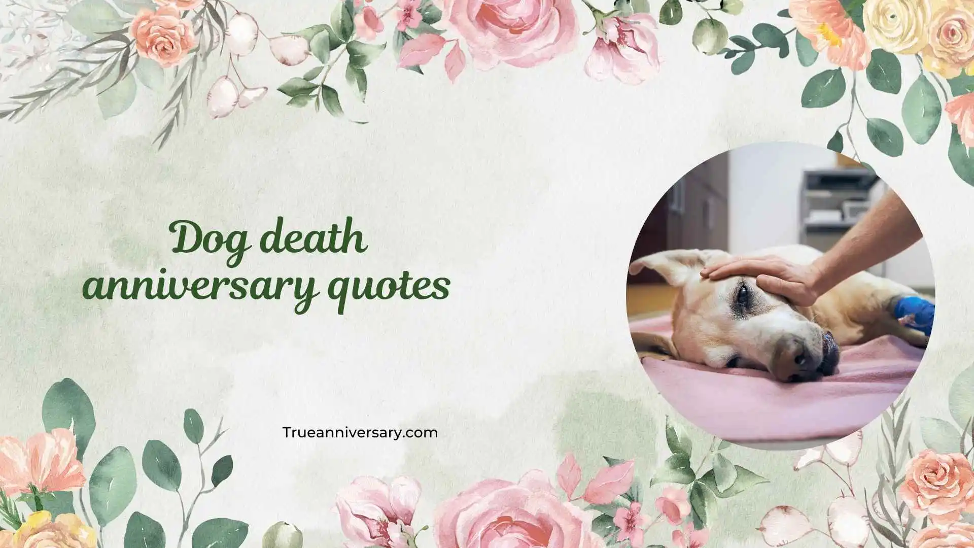 dog death anniversary quotes